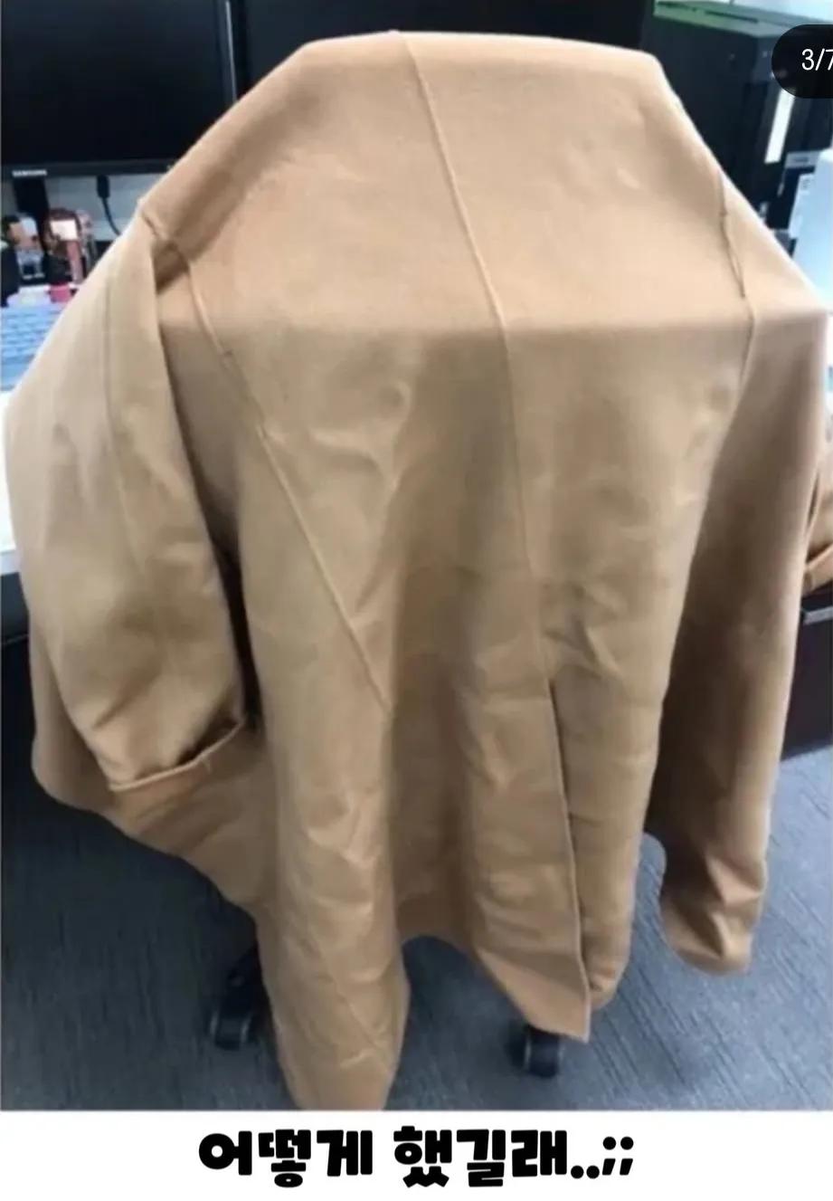 신입이 캐시미어코트 망쳐놓음 | 인스티즈