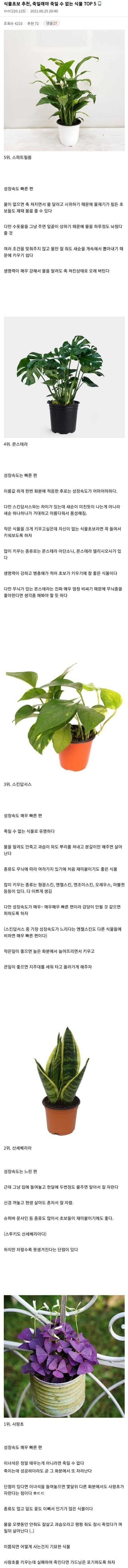 죽일래야 죽일 수가 없는 식물 top5 | 인스티즈