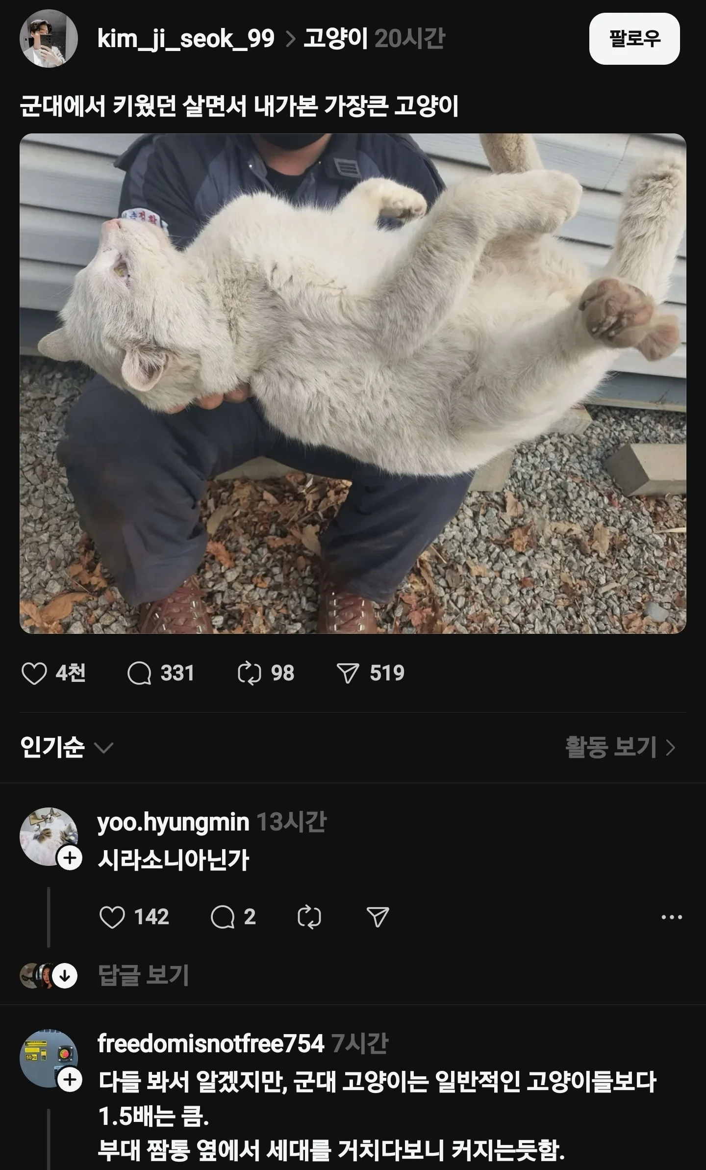 내가 본 가장 큰 고양이.jpg | 인스티즈