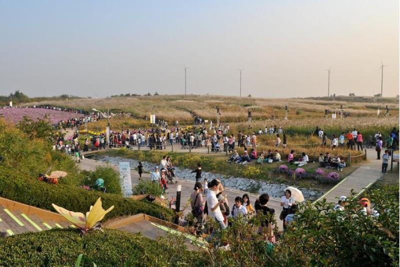 최근 서울에 온 사람들은 모른다는 서울 난지도 공원 예전 모습 | 인스티즈