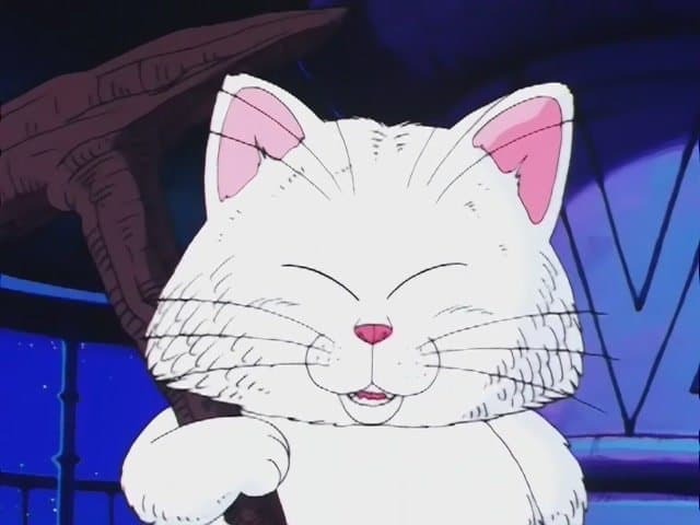 명백한 고양이상이지만 흔히 아는 고양이상은 아니어서 눈길이 가는 분 | 인스티즈