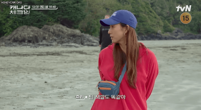 순심이와 똑같이 생긴 강아지를 본 이효리 | 인스티즈