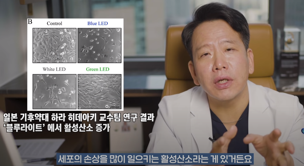 안과의사의 블루라이트 차단안경에 대한 생각 | 인스티즈