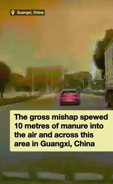 중국 황금 분수쇼 | 인스티즈