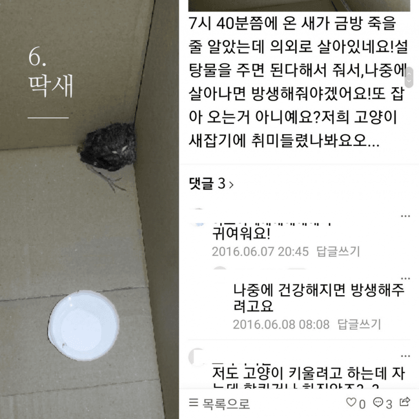 저는 장난감이 아니에요.jpg | 인스티즈