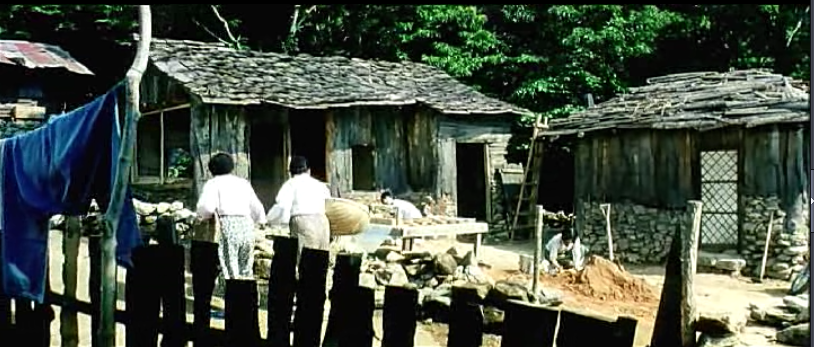 무등산 타잔 박흥숙 살인사건 | 인스티즈