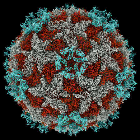 생각보다 구분 못하는 사람이 많은 2가지 | 인스티즈