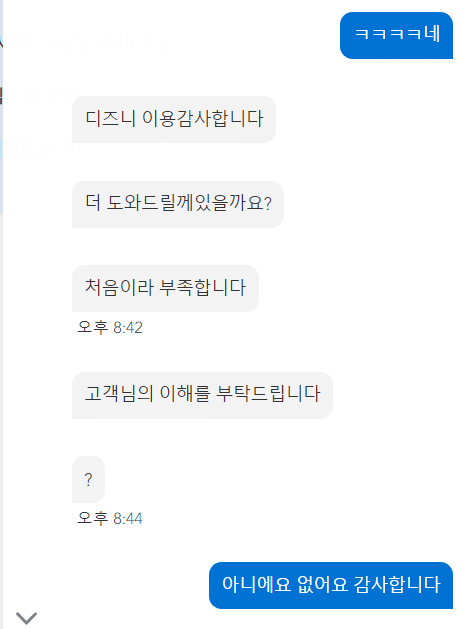 뭔가 좀 많이 이상한 디즈니 플러스 상담원.jpg | 인스티즈