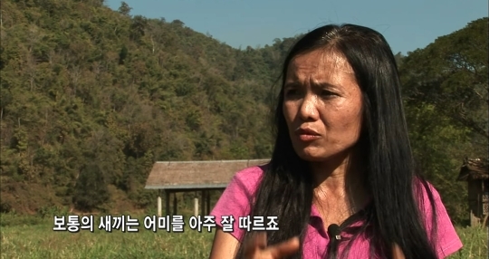 태국의 코끼리 전통의식 파잔 | 인스티즈