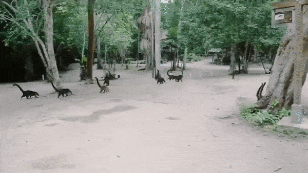 요즘 유행한다는 애완동물.jpg | 인스티즈