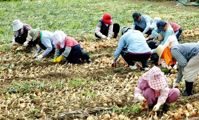 한국 장바구니 물가가 외국에 비해 비싼 이유.JPG | 인스티즈