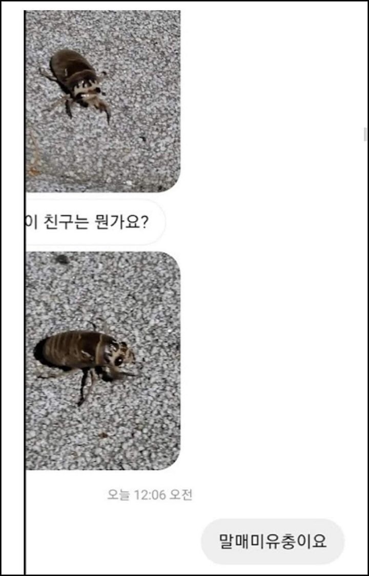 모르는게 없는 유튜버ㅋㅋㅋㅋㅋㅋ.jpg | 인스티즈