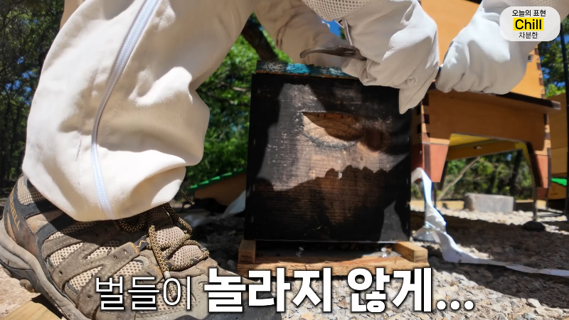 양봉 시작한 올리버쌤 근황.jpg | 인스티즈