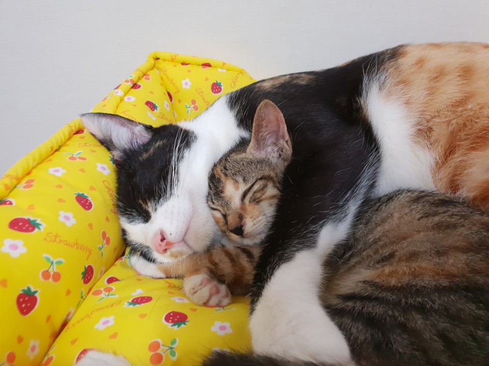 발송인 없는 편지 | 인스티즈