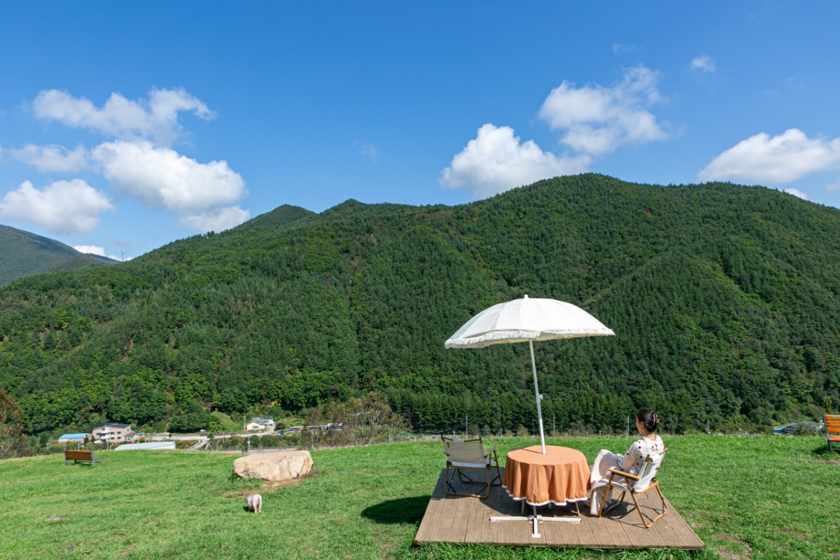 인생샷 찍기 좋다는 국내 배경이 예쁜 여행지들.JPG | 인스티즈