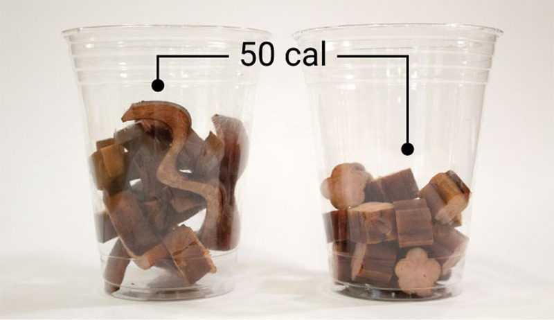 프린팅 다이어트.jpg | 인스티즈