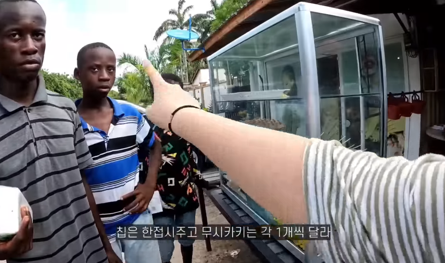 이번에 또 아프리카 여행간 거의 아프리카 준전문가 여행유튜버 | 인스티즈