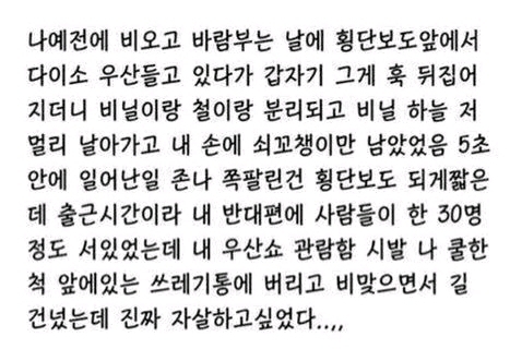 다이소우산 위엄 | 인스티즈