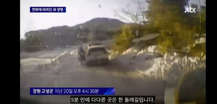 한파에 버려진 갓난아기 | 인스티즈