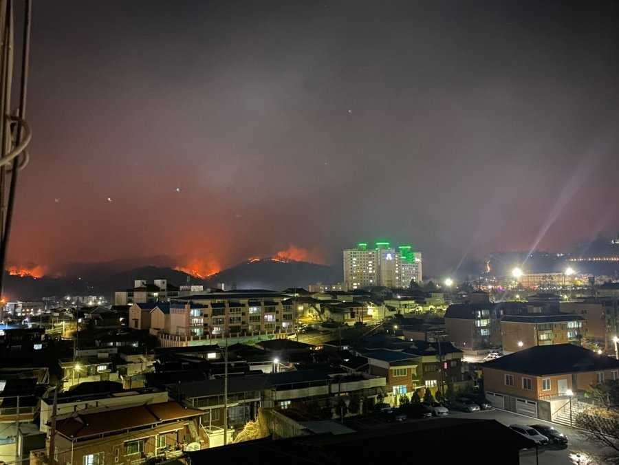 오늘 일어난 산불들 현재까지 밝혀진 원인 정리 | 인스티즈