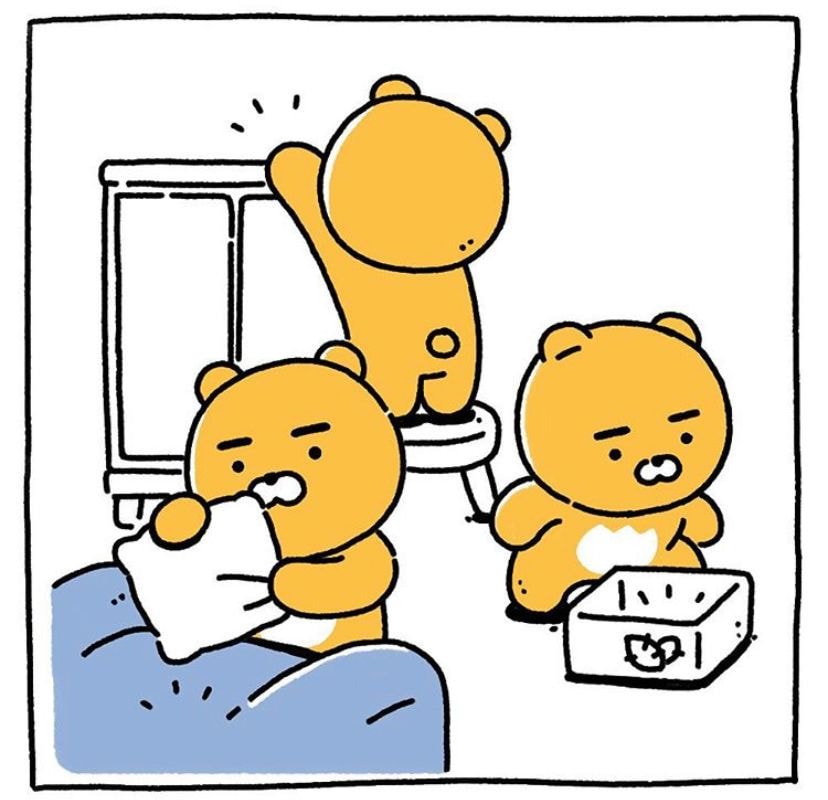 키우는 고양이가 보이지 않는다 ㅠㅠㅠㅠㅠ | 인스티즈