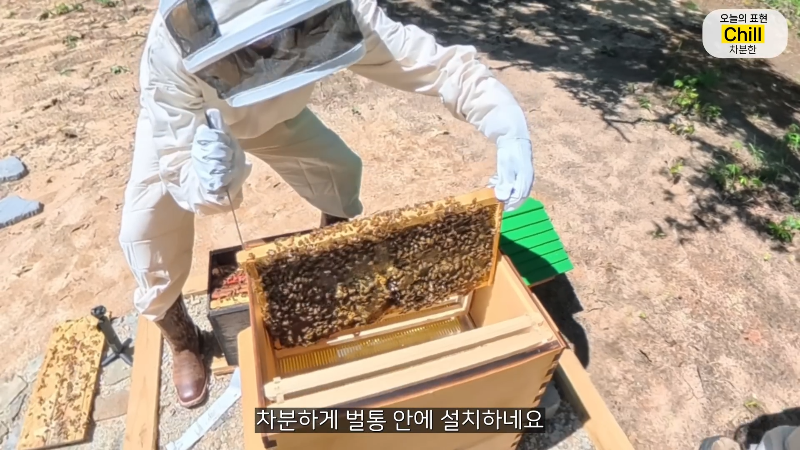 양봉 시작한 올리버쌤 근황.jpg | 인스티즈