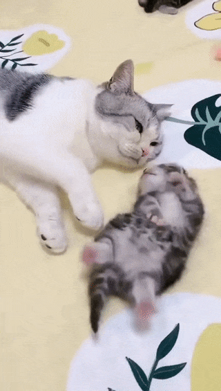 육아는 힘들어.gif | 인스티즈