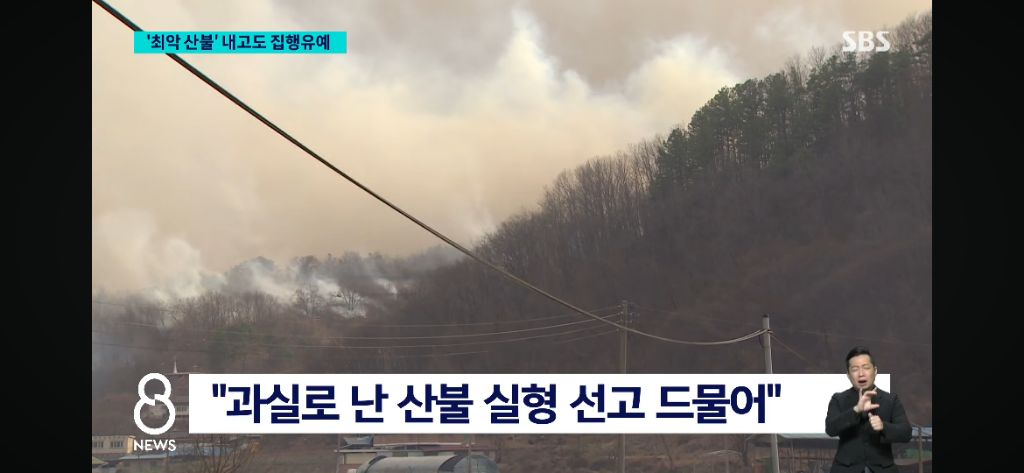 작년 경북 일대 '역대 최악의 산불' 주범, 집행유예 선고 "고의 아니야" | 인스티즈