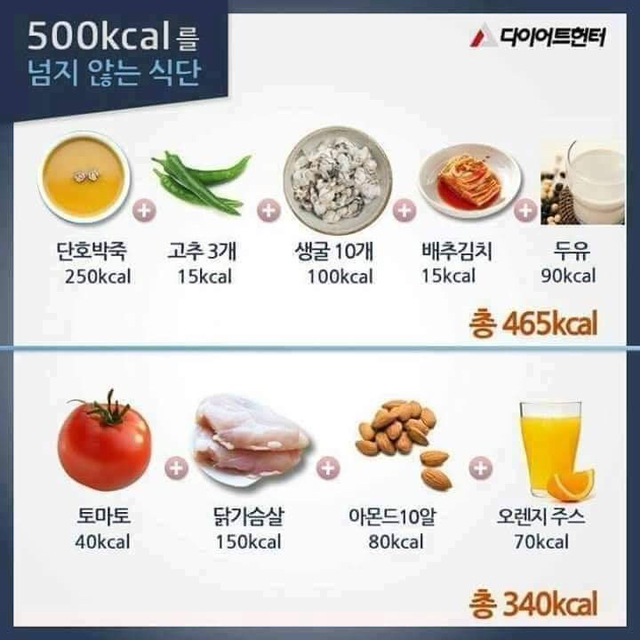 500칼로리를 넘지 않는다는 식단 | 인스티즈
