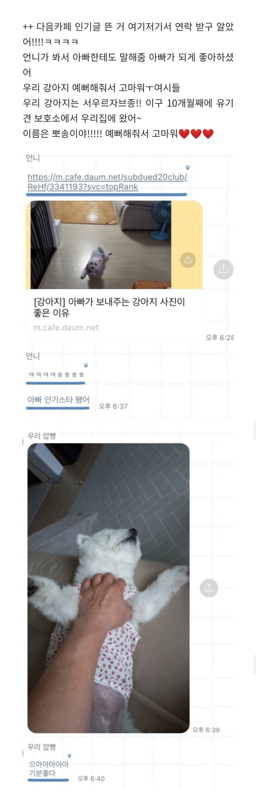 아빠가 보내주는 강아지 사진이 좋은 이유.jpg | 인스티즈