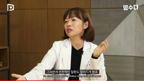 국내 소형견이 유독 슬개골 탈구가 많은 이유 | 인스티즈