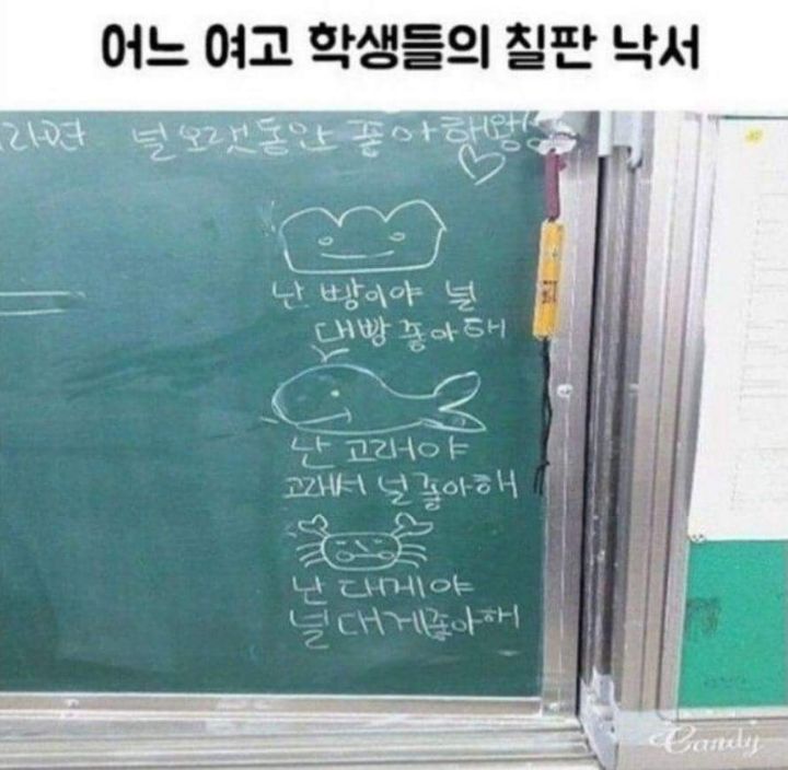 어느 여고 학생들의 칠판 낙서 | 인스티즈