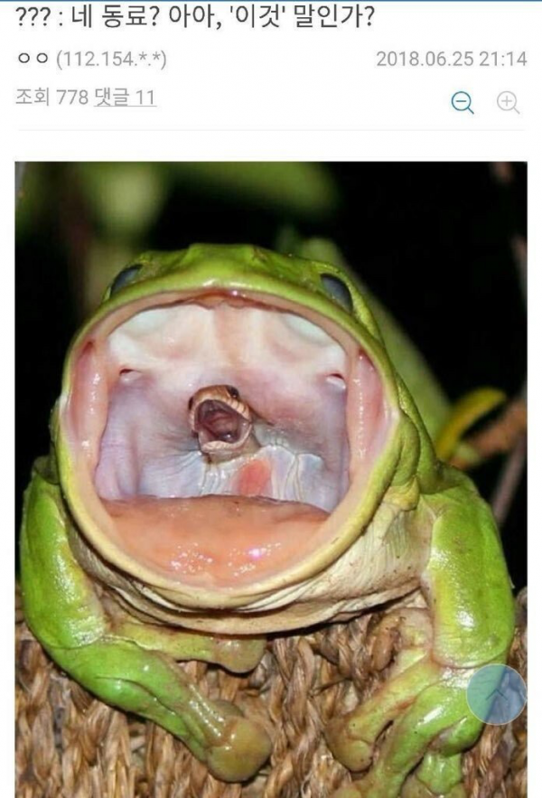 애니메이션 좀 봤다하면 아는 클리셰 | 인스티즈