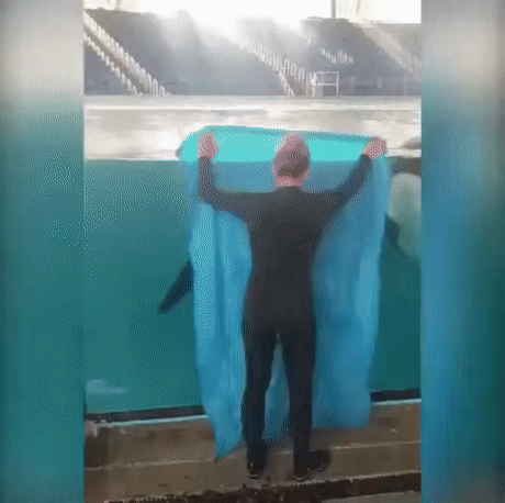 사라지는 마술 보여준다 | 인스티즈