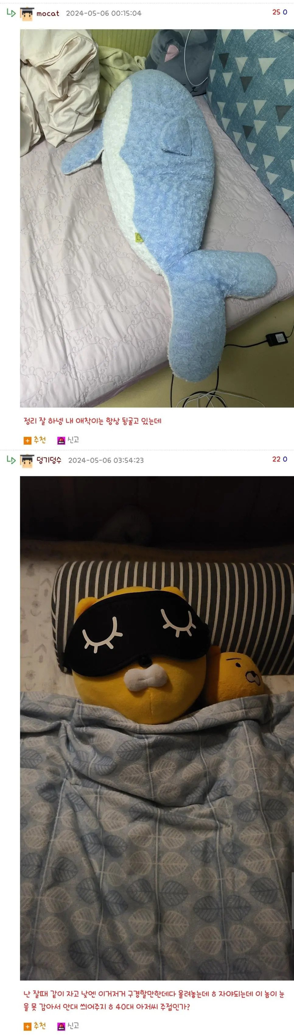 애착인형 자랑시간.jpg | 인스티즈