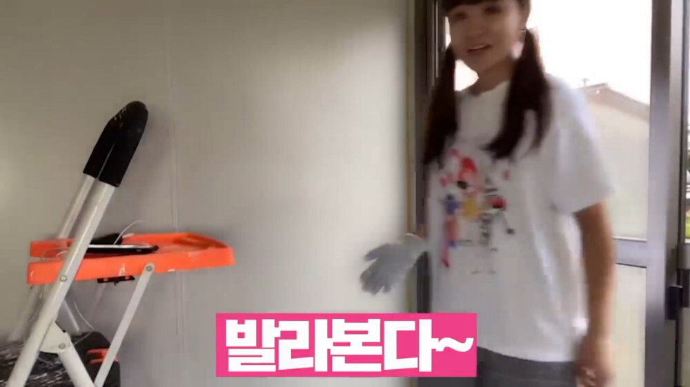 [스압주의] 일본인 캣맘 유튜버 2편 - 3천만원짜리 고양이 집 지음 | 인스티즈