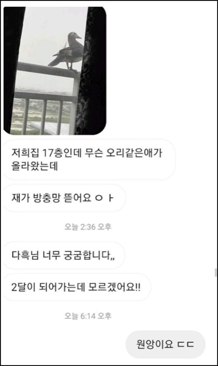 모르는게 없는 유튜버ㅋㅋㅋㅋㅋㅋ.jpg | 인스티즈