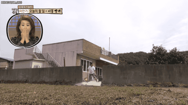 36b062b44805dd70a7db5db48f46dd9f2b6c42d5