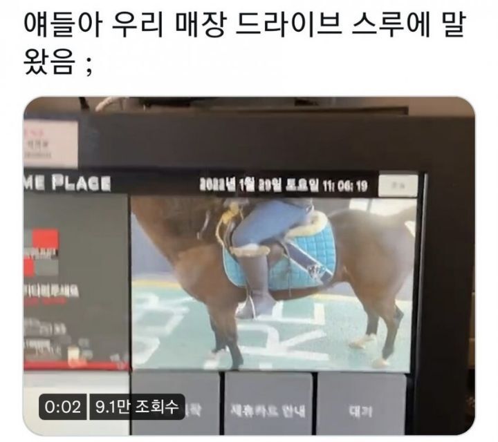 드라이브 스루에 말 왔음.jpg | 인스티즈