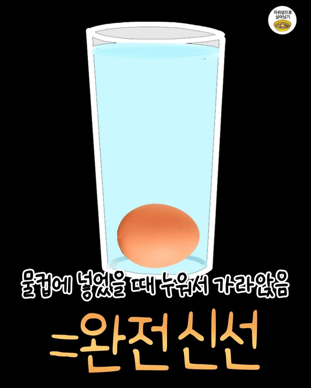 우리집 달걀 상했는지 쉽게 알 수 있는 방법.jpg | 인스티즈