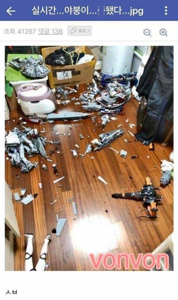 야붕이 실시간 x된 모음집 | 인스티즈