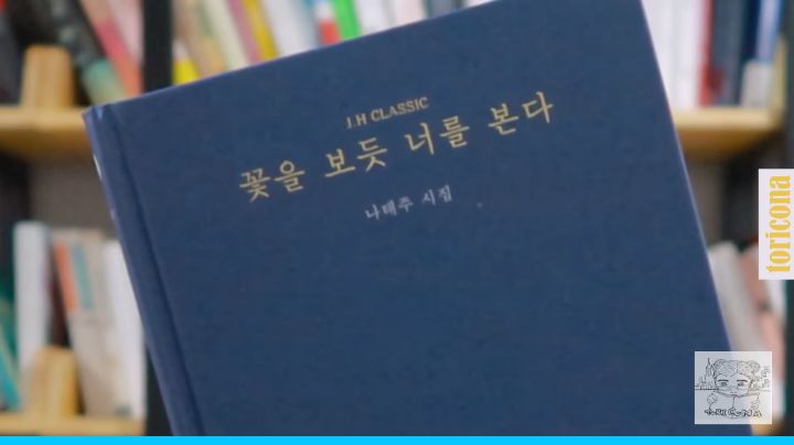 연말에 한가해서 베스트셀러 순위대로 다 읽어본 통번역사 | 인스티즈
