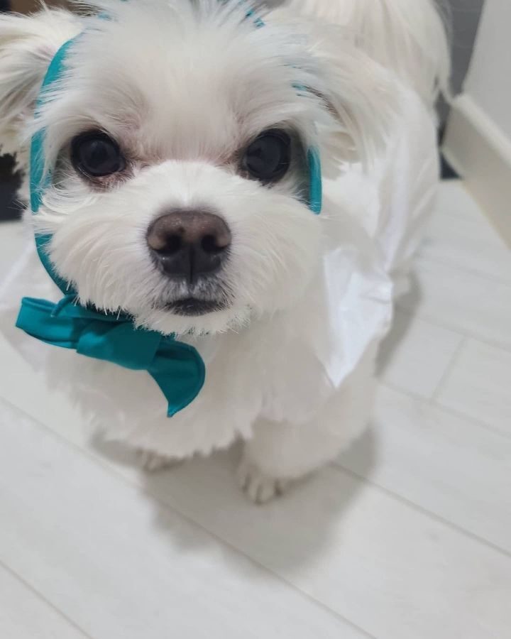경태 인스타 업로드 | 인스티즈