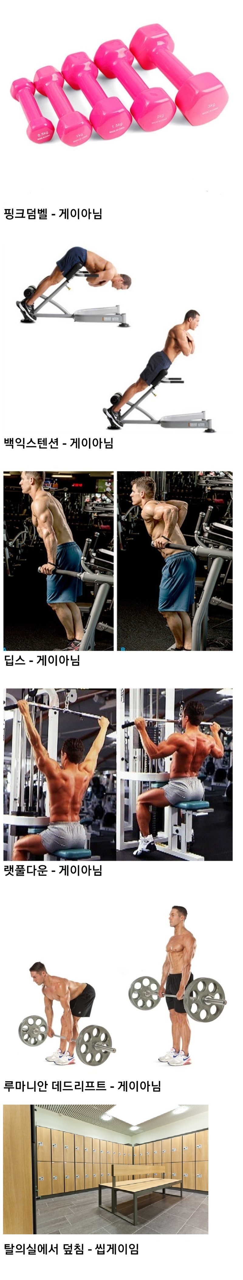 헬스장에서 게이 판별하는 방법 | 인스티즈