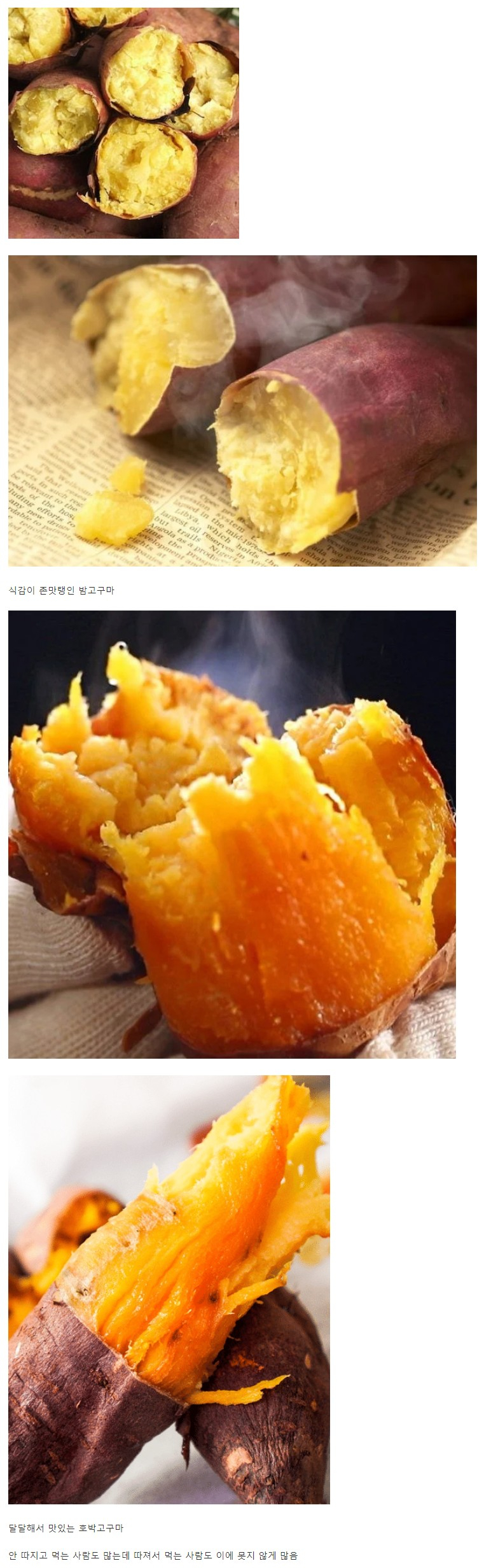 치열하게 갈리는 고구마 취향 | 인스티즈