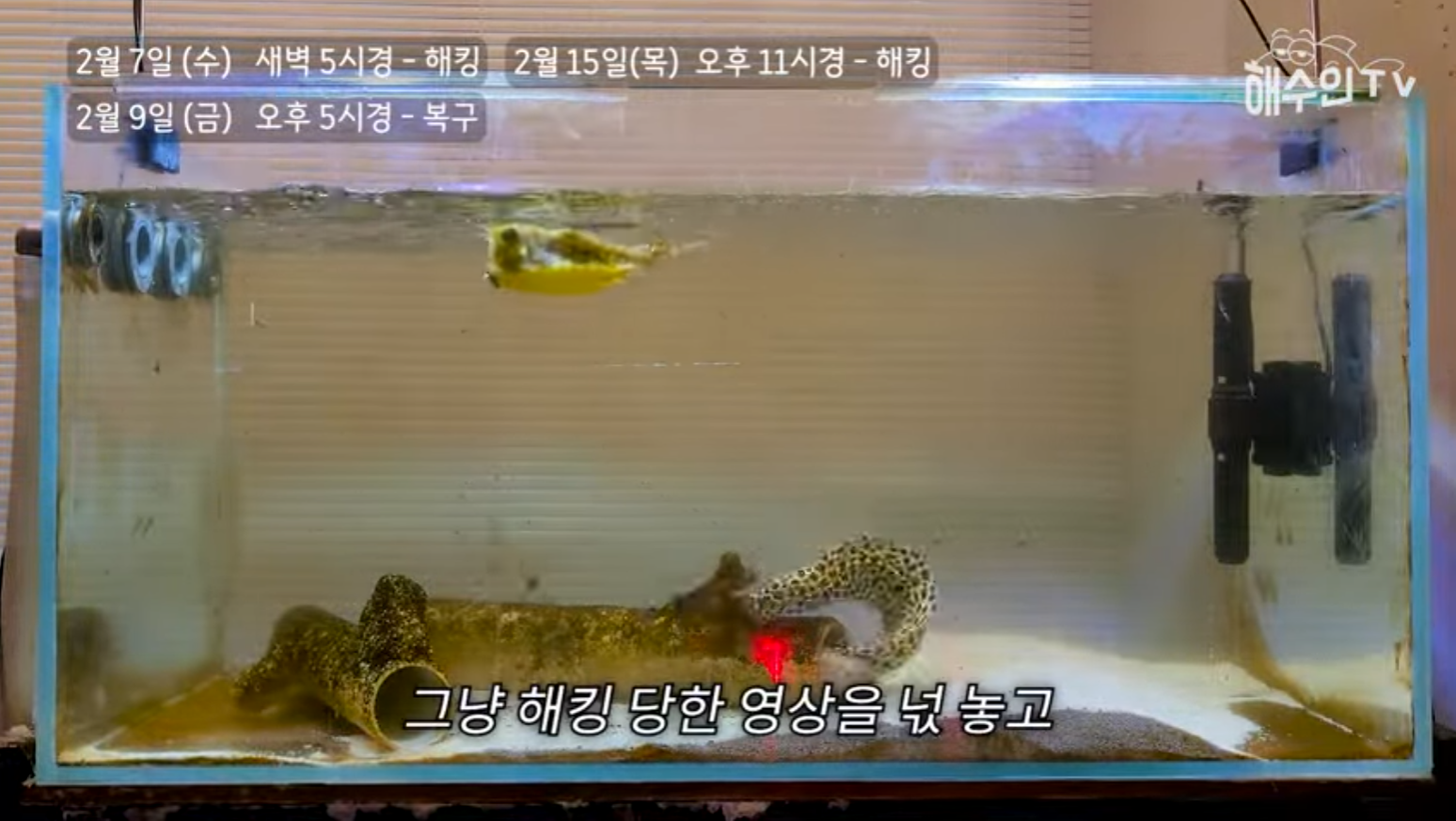 유튜브 계정이 3번이나 해킹 당한 이유 | 인스티즈