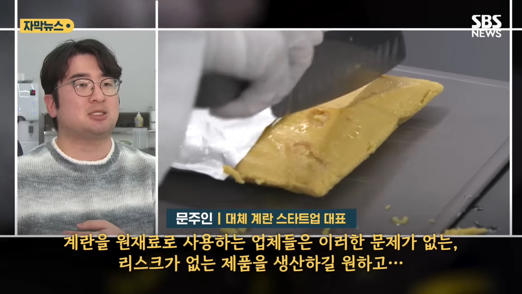 90%일치 대체 계란 만든 계란 스타트업 | 인스티즈