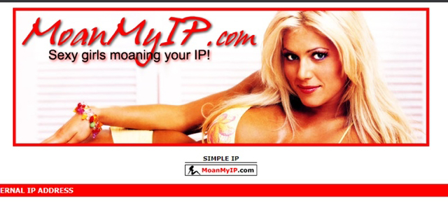 야한목소리로 본인 아이피를 읽어주는 사이트.site | 인스티즈