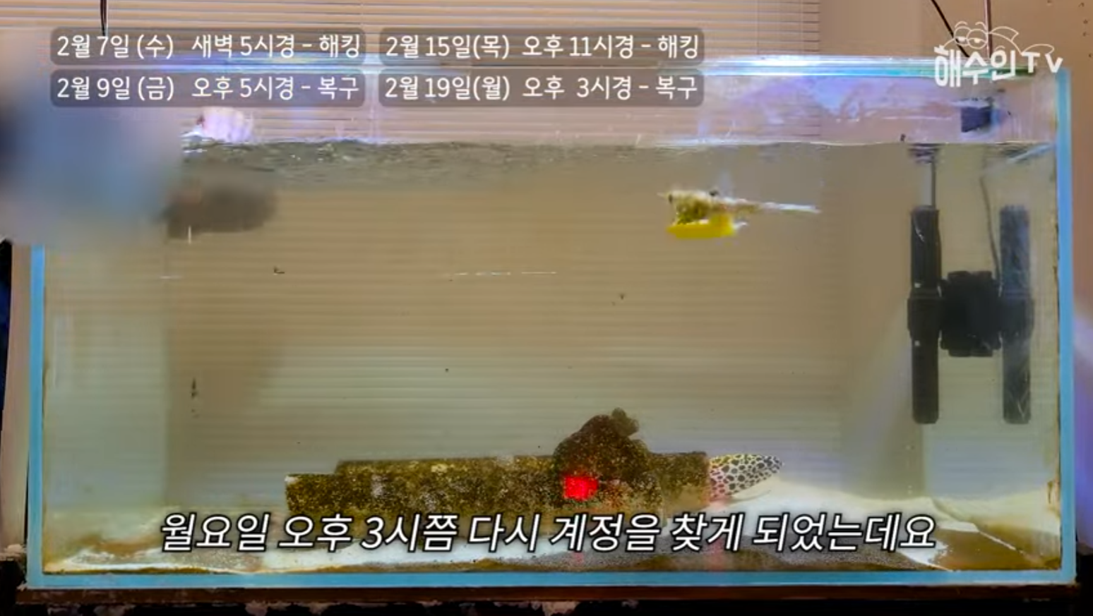 유튜브 계정이 3번이나 해킹 당한 이유 | 인스티즈