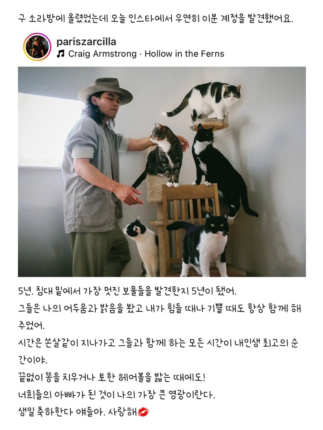 우울증 걸린 사람집에 고양이가 들어옴 | 인스티즈